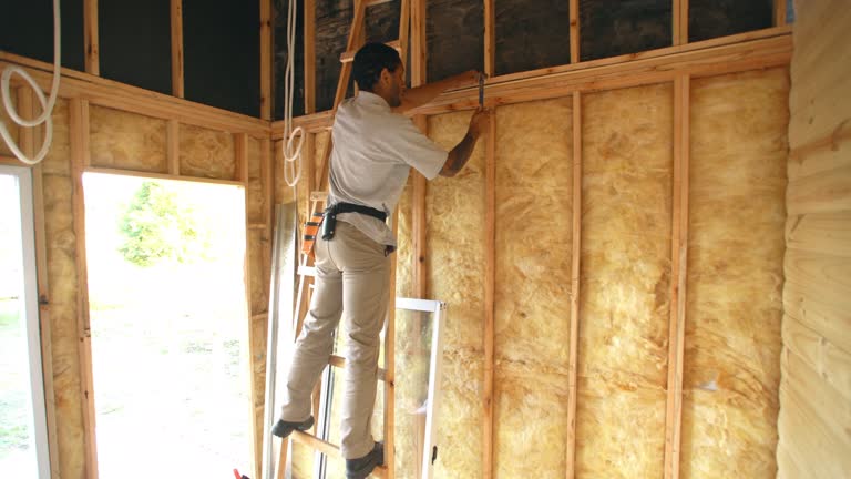 Best Insulation Replacement  in Brookland, AR